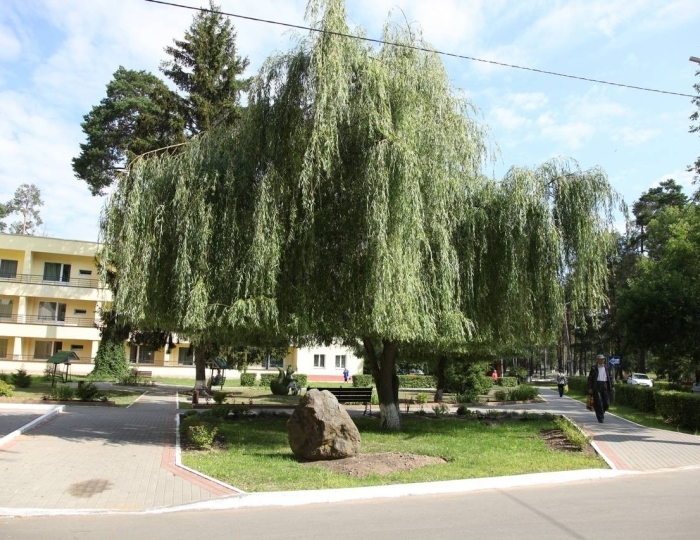 Санаторий «Березина» Беларусь Пригородный