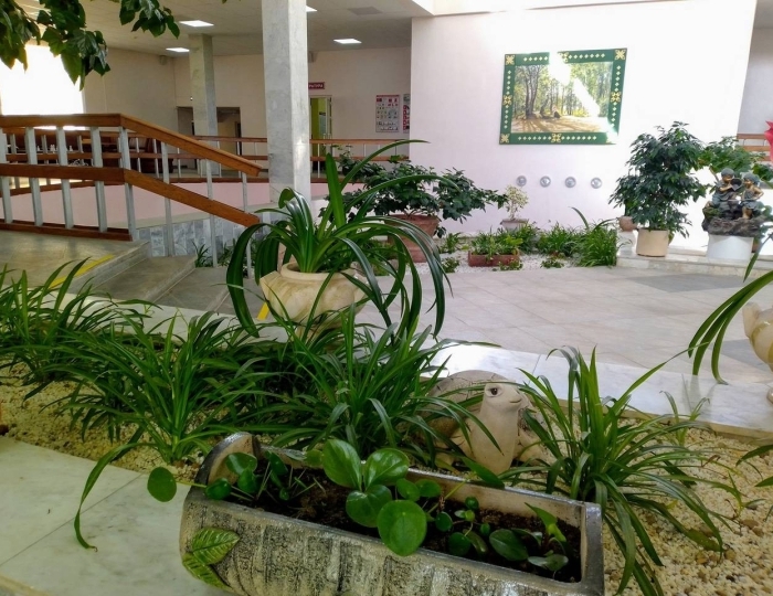 Санаторий «Березина» Беларусь Пригородный